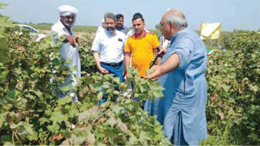 Life at SYAC Event 3